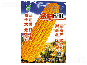 金奧688-玉米種子-秦豐種業(yè)