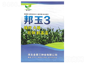 邦玉3號(hào)-玉米種子-秦豐種業(yè)