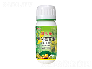 100毫升天然蕓苔素-鄭馬-千里馬
