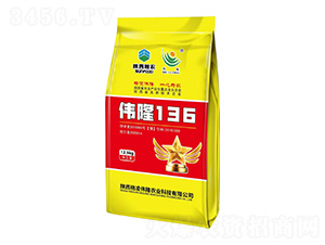 偉隆136小麥種子-陜西糧農(nóng)-偉隆農(nóng)業(yè)