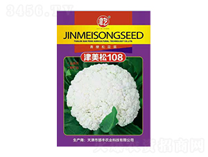 花菜種子-津美松108-邯豐農(nóng)業(yè)