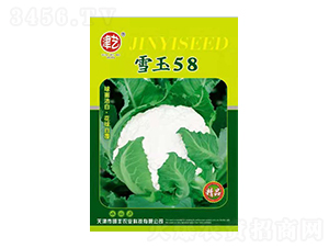 花菜種子-雪玉58-邯豐農(nóng)業(yè)