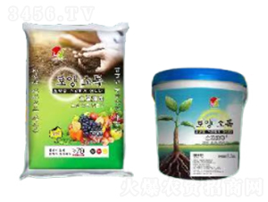 土壤消毒-春夏秋實生物
