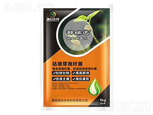 枯草芽孢桿菌-邦瑞達-瑞谷生物