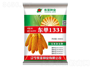 東單1331-玉米種子-東亞種業(yè)