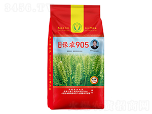 國審豫農(nóng)905小麥種子-邦邦種業(yè)